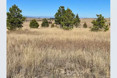Parcel A County Road 98, Elbert, CO 80106 - Photo 3