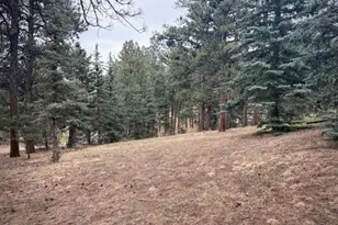 3518 S Saddle Rd, Evergreen, CO 80439 - Photo 21
