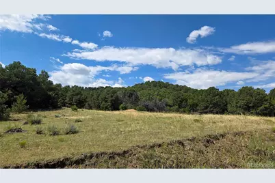 7 La Veta Pines Ranches, Walsenburg, CO 81089 - Photo 5
