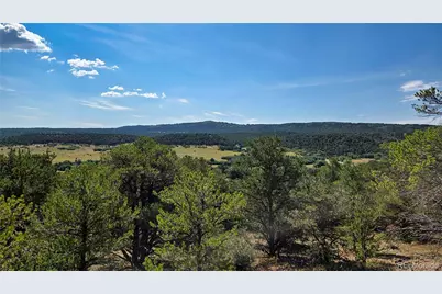7 La Veta Pines Ranches, Walsenburg, CO 81089 - Photo 11