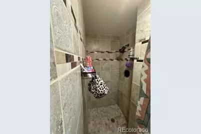 1231 N Lafayette Street, Denver, CO 80218 - Photo 19