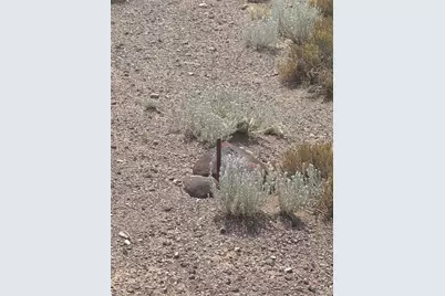 000 19th Street North, Blanca, CO 81123 - Photo 9