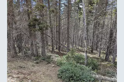 2767-2769 Purnell Lane, Fort Garland, CO 81133 - Photo 5