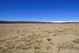 2125 James Ln, Fairplay, CO 80440 - Photo 47
