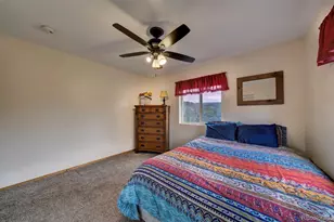 34 Fetlock, Florissant, CO 80816 - Photo 45