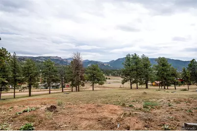 34 Fetlock, Florissant, CO 80816 - Photo 23