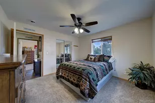34 Fetlock, Florissant, CO 80816 - Photo 47
