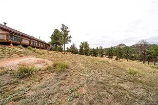 34 Fetlock, Florissant, CO 80816 - Photo 19