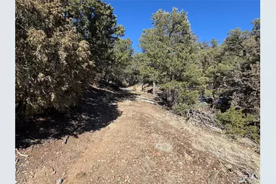 1214 Kevin Drive, Cotopaxi, CO 81223 - Photo 3