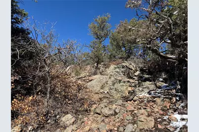 1214 Kevin Drive, Cotopaxi, CO 81223 - Photo 11