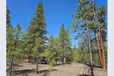 445 Mt Massive Drive, Twin Lakes, CO 81251 - Photo 5