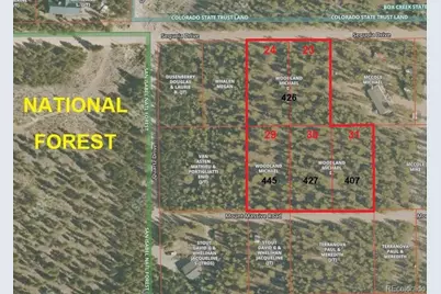 445 Mt Massive Drive, Twin Lakes, CO 81251 - Photo 9