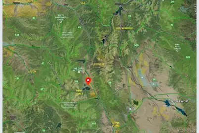 445 Mt Massive Drive, Twin Lakes, CO 81251 - Photo 11