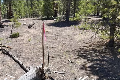 445 Mt Massive Drive, Twin Lakes, CO 81251 - Photo 17