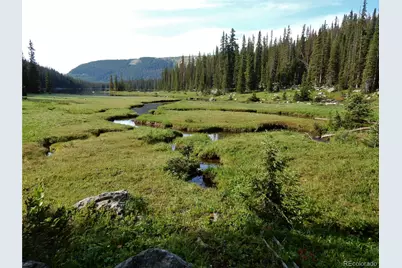 445 Mt Massive Drive, Twin Lakes, CO 81251 - Photo 39