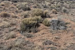 Lot 3 Ana Rd, San Luis, CO 81152 - Photo 1