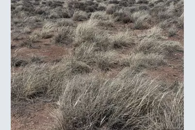 Lot 3 Ana Road, San Luis, CO 81152 - Photo 11