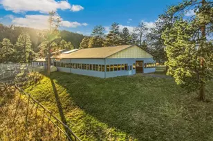 20682 Falcon Wing Rd, Indian Hills, CO 80454 - Photo 11