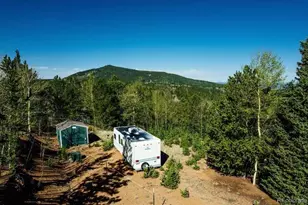 977 Co Rd 61, Divide, CO 80814 - Photo 1