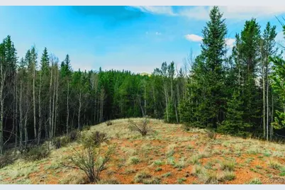 977 County Road 61, Divide, CO 80814 - Photo 9