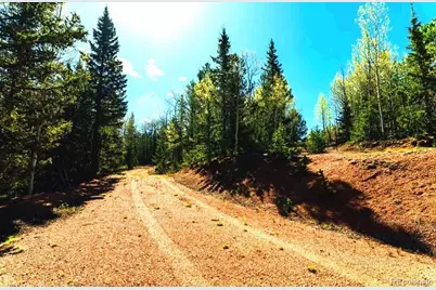 977 County Road 61, Divide, CO 80814 - Photo 7