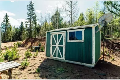 977 County Road 61, Divide, CO 80814 - Photo 5