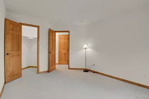 6236 Riviera Ct, Parker, CO 80134 - Photo 33