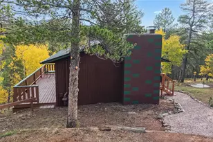 225 Renaud Rd, Bailey, CO 80421 - Photo 33