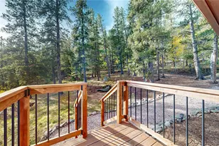 225 Renaud Rd, Bailey, CO 80421 - Photo 23