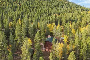 225 Renaud Rd, Bailey, CO 80421 - Photo 41