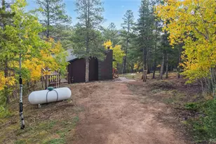 225 Renaud Rd, Bailey, CO 80421 - Photo 33