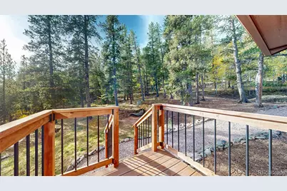 225 Renaud Road, Bailey, CO 80421 - Photo 19