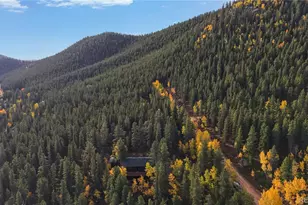 225 Renaud Rd, Bailey, CO 80421 - Photo 39