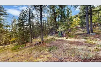 225 Renaud Road, Bailey, CO 80421 - Photo 31