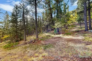 225 Renaud Rd, Bailey, CO 80421 - Photo 31