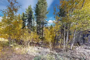 225 Renaud Rd, Bailey, CO 80421 - Photo 25
