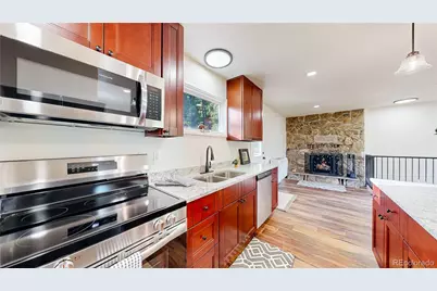 225 Renaud Road, Bailey, CO 80421 - Photo 13