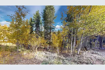 225 Renaud Road, Bailey, CO 80421 - Photo 27