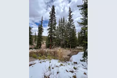897 Gold Pan Lane, Fairplay, CO 80440 - Photo 9