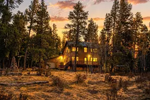 1305 Lakeside Dr, Fairplay, CO 80440 - Photo 45