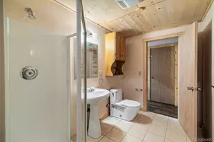 1305 Lakeside Dr, Fairplay, CO 80440 - Photo 29