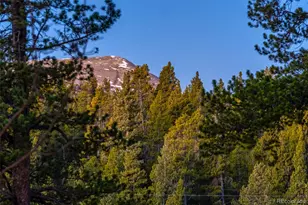 1305 Lakeside Dr, Fairplay, CO 80440 - Photo 39