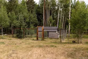 133 Gold Run Rd, Alma, CO 80440 - Photo 37