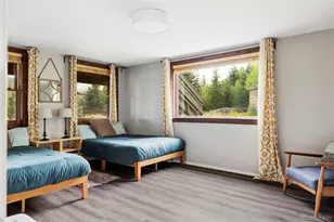 133 Gold Run Rd, Alma, CO 80440 - Photo 23