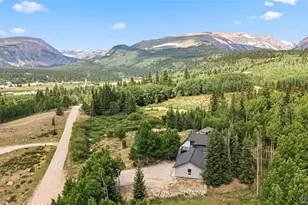 133 Gold Run Rd, Alma, CO 80440 - Photo 45