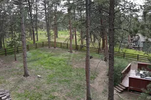 28110 Pine Dr, Evergreen, CO 80439 - Photo 33