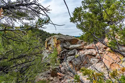 16174 County Road 143, Canon City, CO 81212 - Photo 43