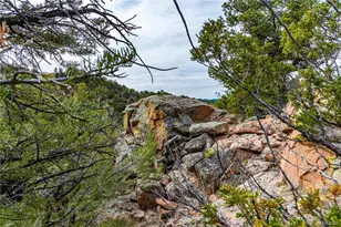 16174 Co Rd 143, Canon City, CO 81212 - Photo 43