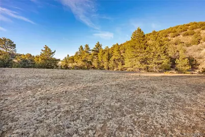 303 Peak View Place, Canon City, CO 81212 - Photo 11