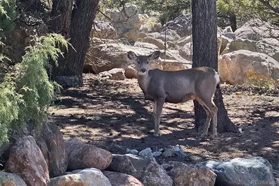 3572 Camino Baca Grande, Crestone, CO 81131 - Photo 7